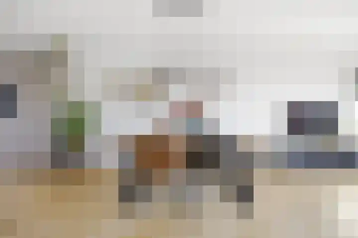L. Springerstraat 242 in Velserbroek