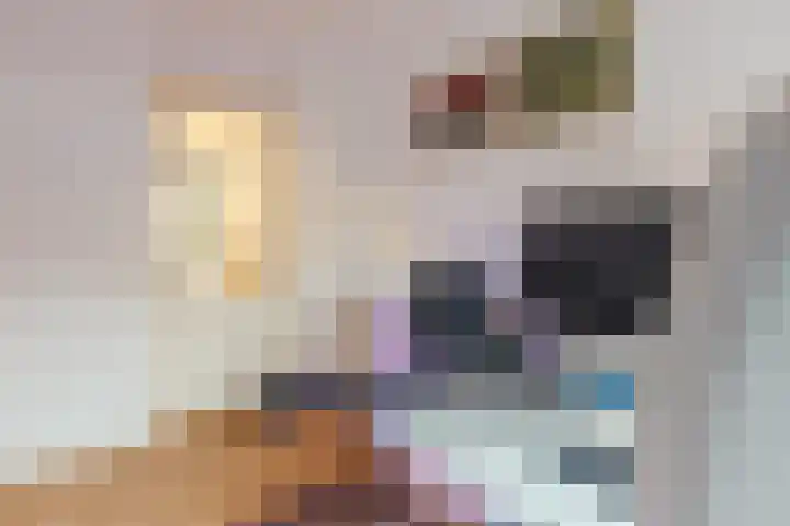 La Meye 61 Amsterdam thumbnail 15