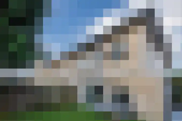 La Meye 61 Amsterdam thumbnail 47