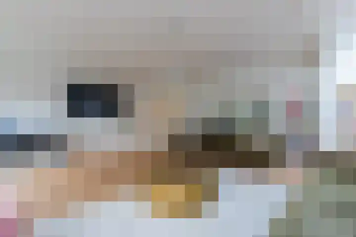 La Meye 61 Amsterdam thumbnail 6