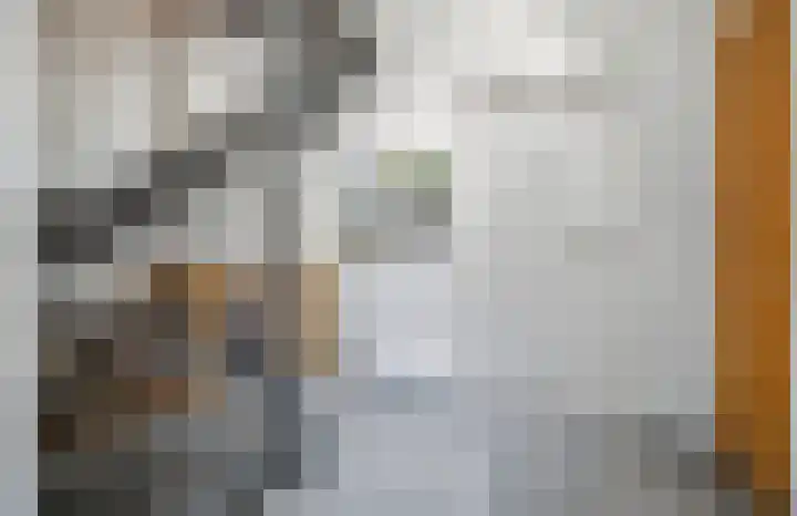 Laagbos 3 Breda thumbnail 14