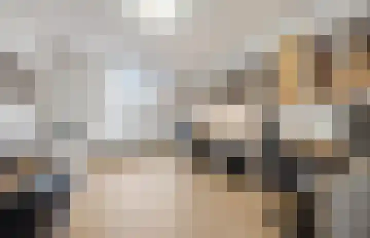 Laagbos 3 Breda thumbnail 23