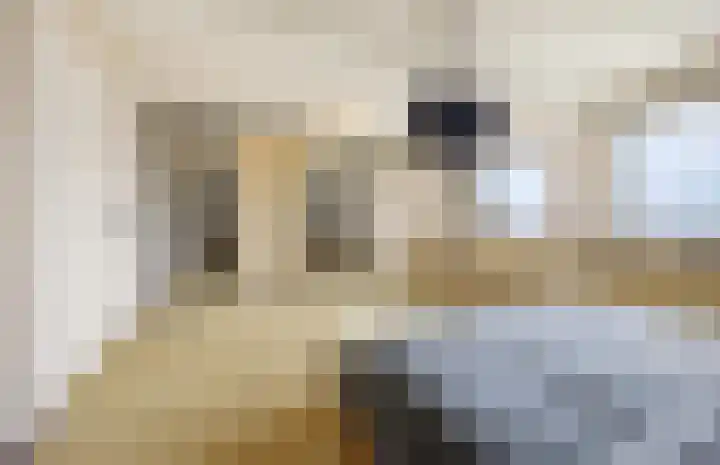 Laagbos 3 Breda thumbnail 28