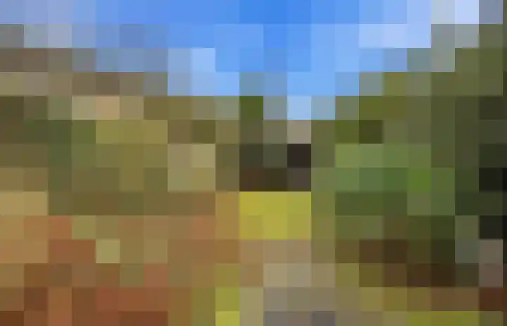 Laagbos 3 Breda thumbnail 38