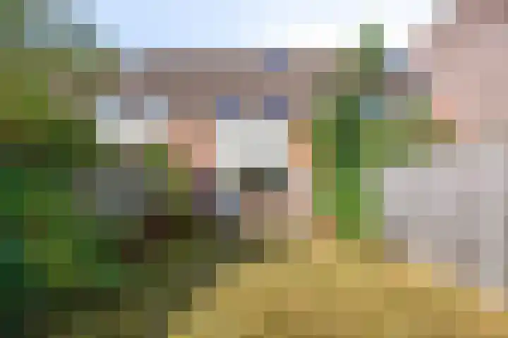 Laagerf 10 Breda thumbnail 19