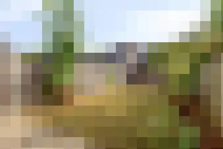 Laagerf 10 Breda thumbnail 20
