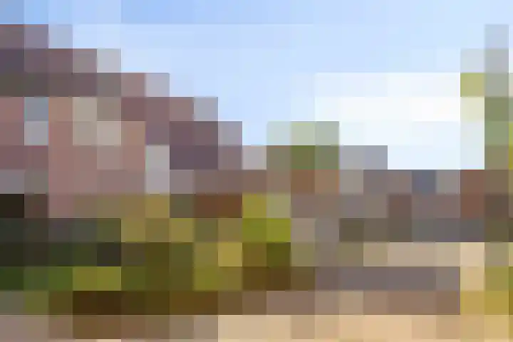 Laagerf 10 Breda thumbnail 22