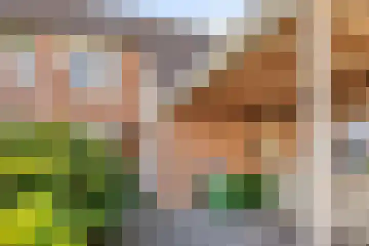 Laagerf 10 Breda thumbnail 4