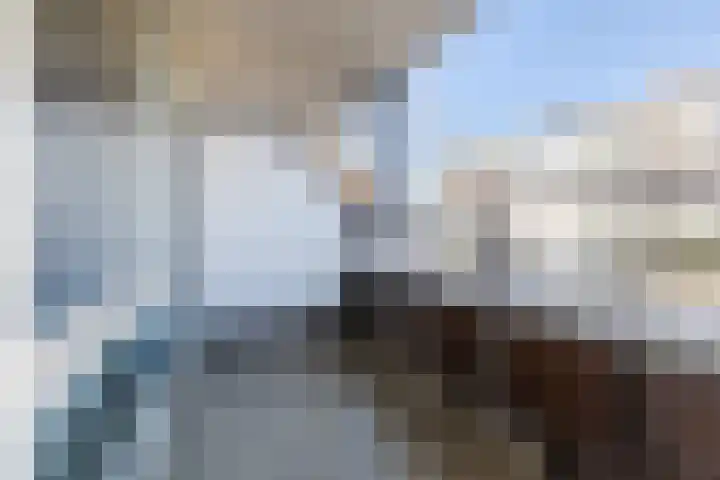 Laagstraat 5 A Rijen thumbnail 23
