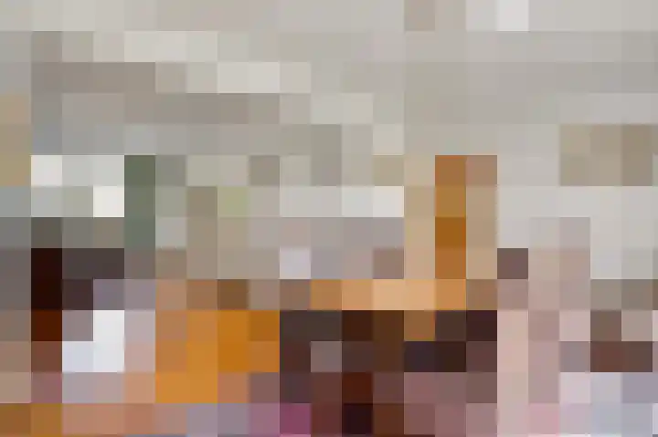 Laagveld 9 Horn thumbnail 12