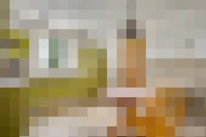 Laagveld 9 Horn thumbnail 13