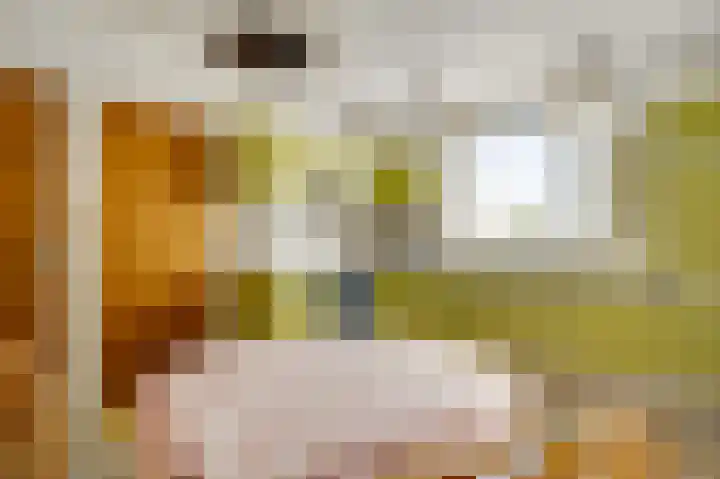 Laagveld 9 Horn thumbnail 14