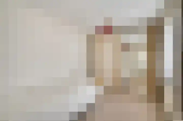 Laagveld 9 Horn thumbnail 21