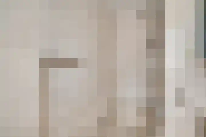Laagveld 9 Horn thumbnail 24