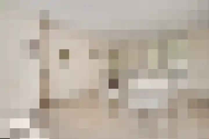 Laagveld 9 Horn thumbnail 25