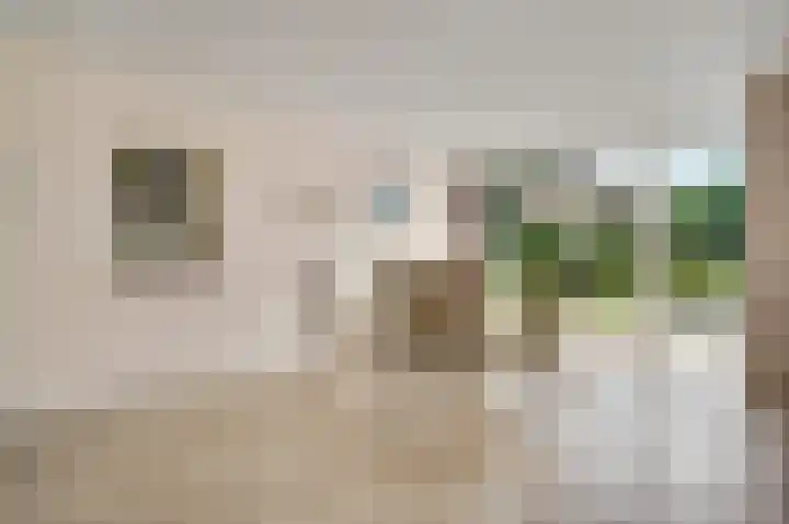 Laagveld 9 Horn thumbnail 26