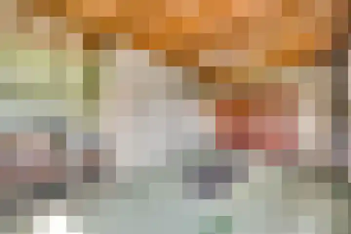 Laagveld 9 Horn thumbnail 27