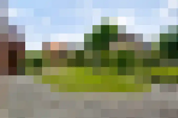 Laagveld 9 Horn thumbnail 29