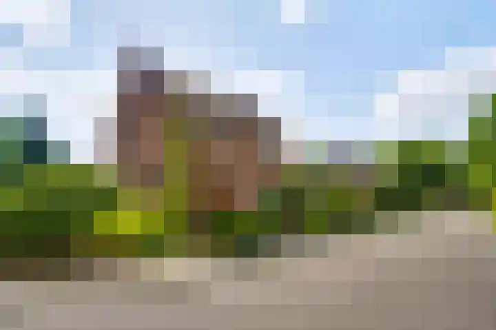 Laagveld 9 Horn thumbnail 37