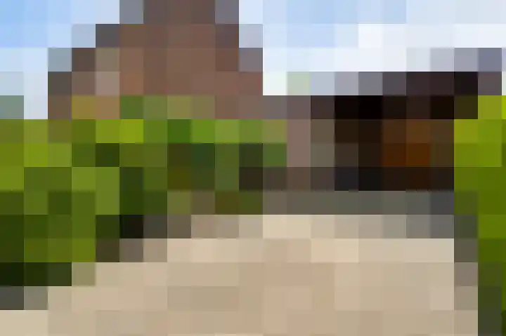Laagveld 9 Horn thumbnail 38