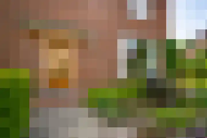 Laagveld 9 Horn thumbnail 40