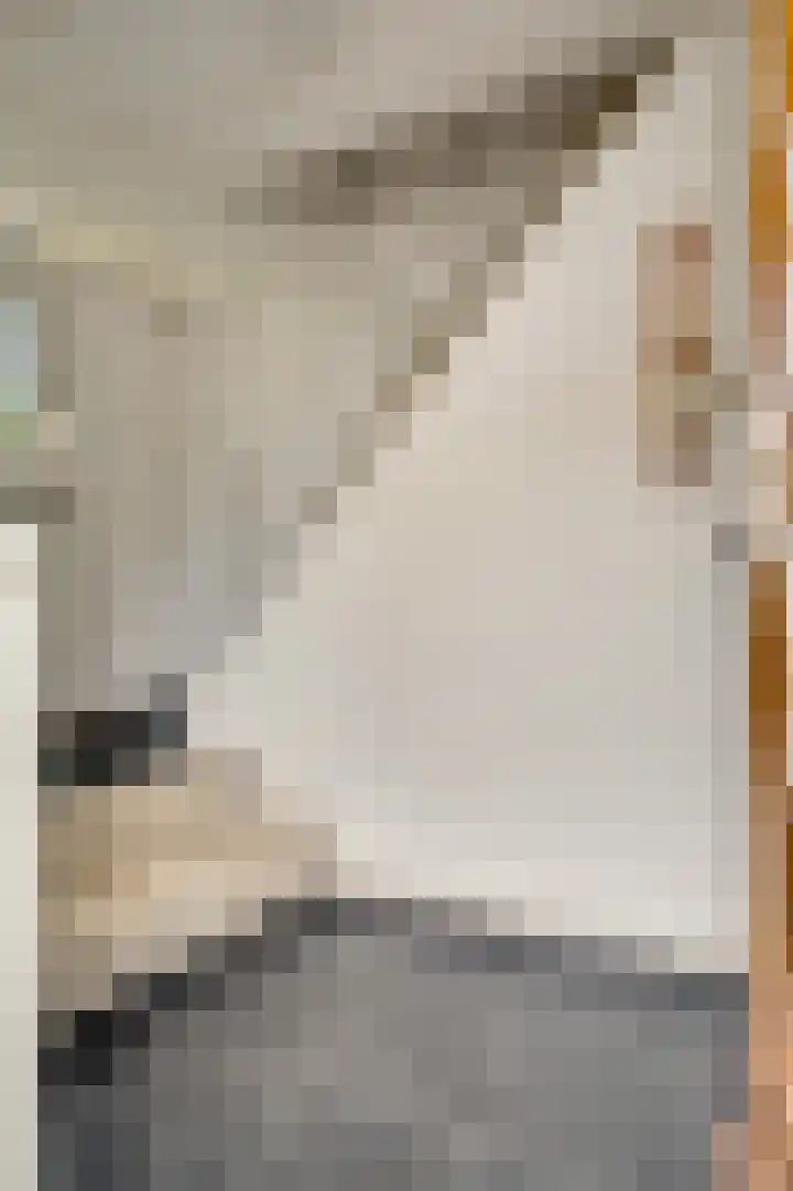 Laagveld 9 Horn thumbnail 6