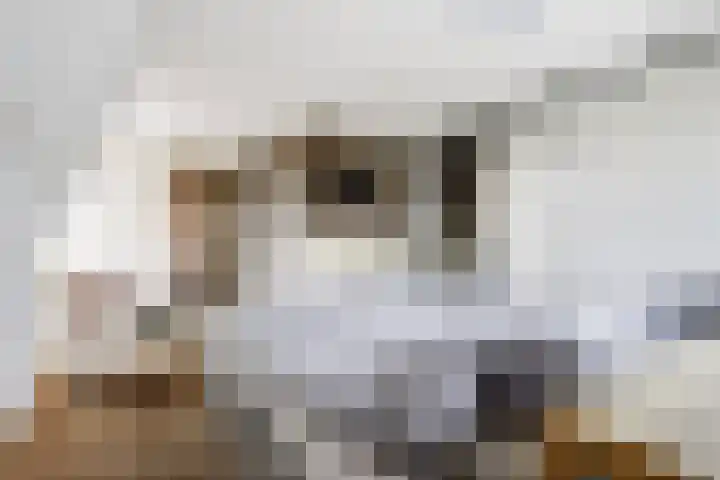 Laak 34 Almelo thumbnail 11