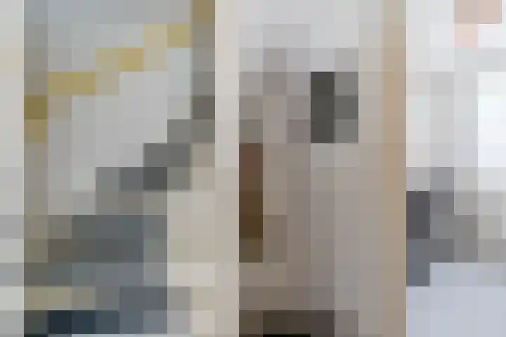 Laak 34 Almelo thumbnail 16