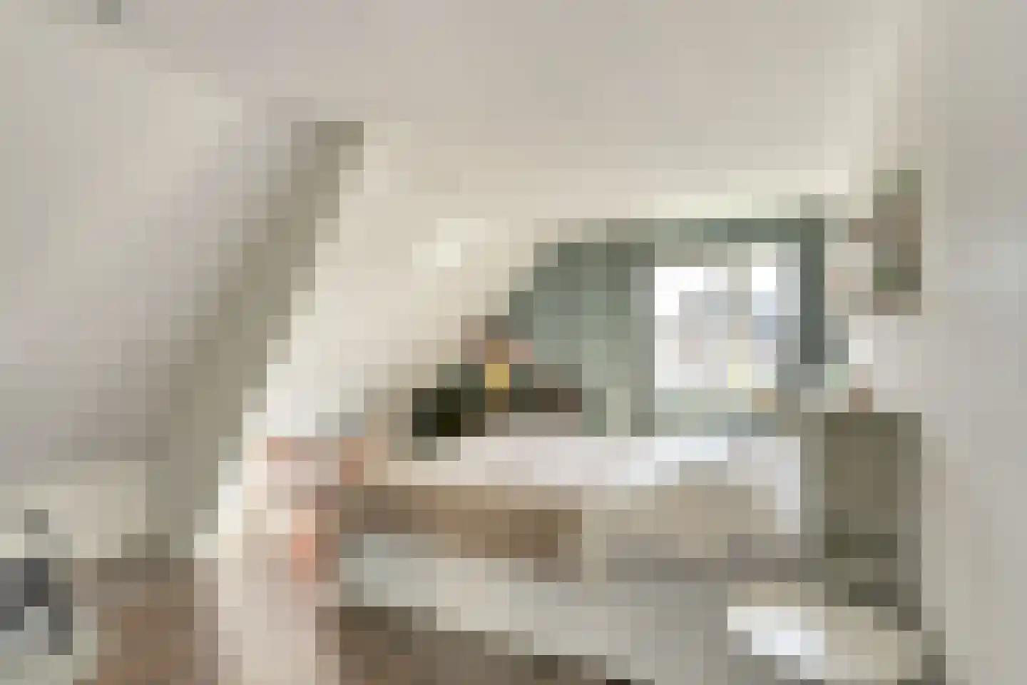 Laak 34 Almelo thumbnail 23