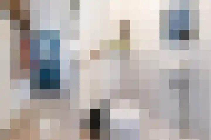 Laak 34 Almelo thumbnail 28