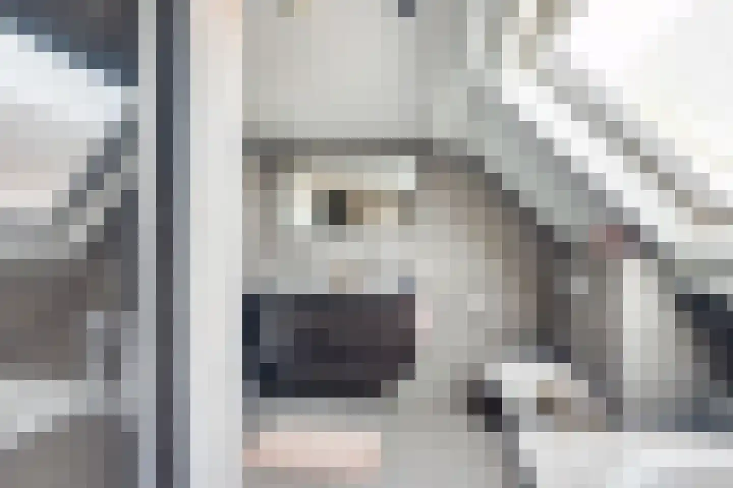 Laak 34 Almelo thumbnail 28
