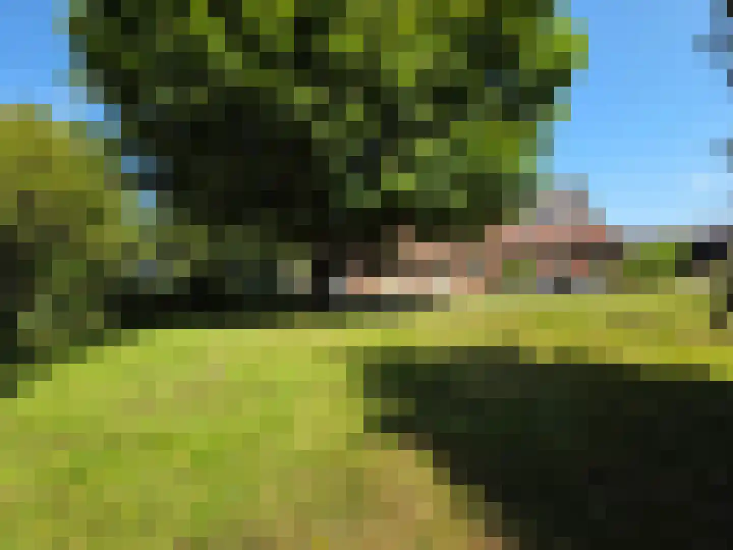 Laak 34 Almelo thumbnail 38