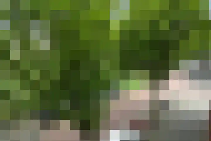 Laakkade 365 Den Haag thumbnail 18