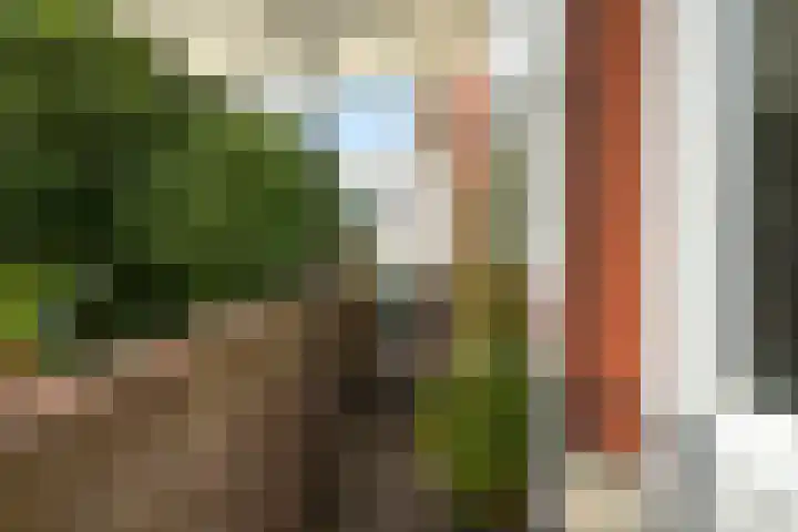 Laakkade 365 Den Haag thumbnail 23