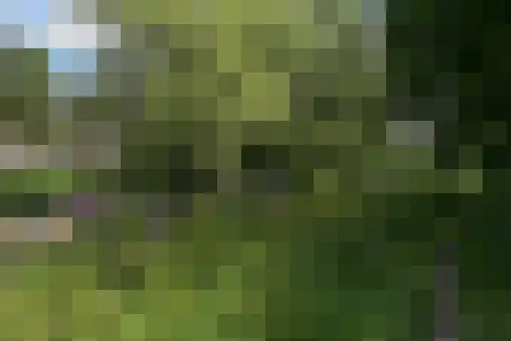 Laakkade 365 Den Haag thumbnail 28