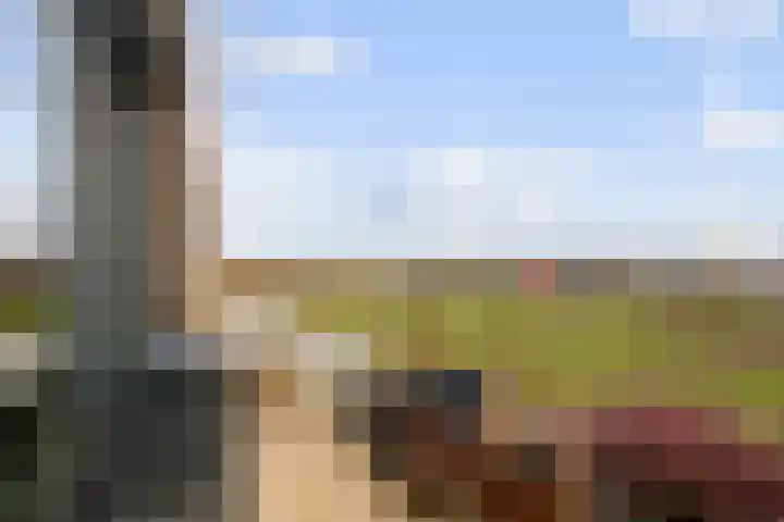 Laakoever 232 Arnhem thumbnail 10