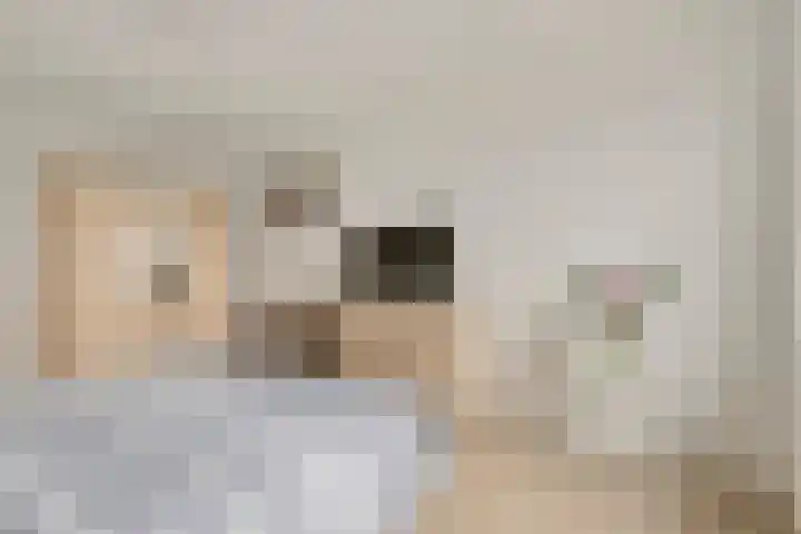 Laakoever 232 Arnhem thumbnail 16