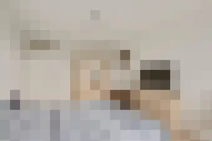 Laakoever 232 Arnhem thumbnail 17