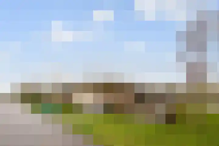 Laakoever 232 Arnhem thumbnail 29