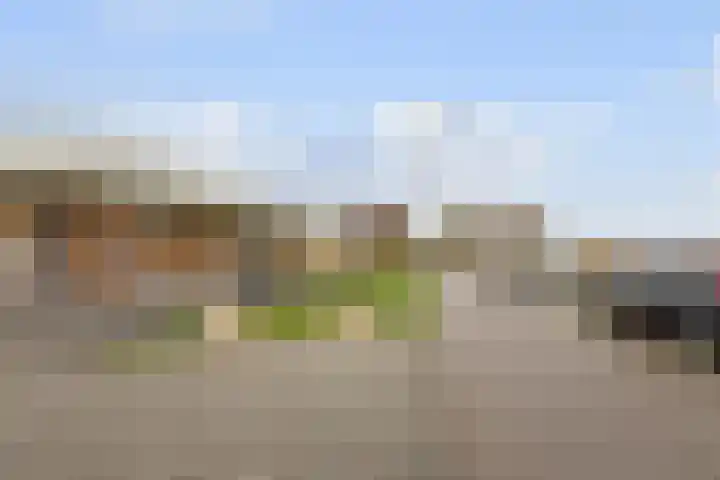 Laakoever 232 Arnhem thumbnail 31