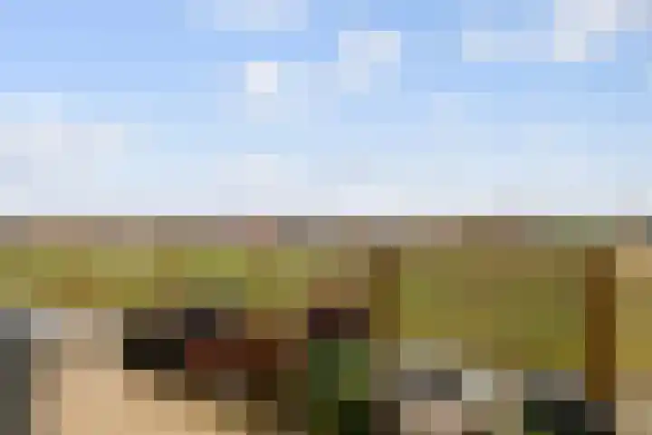 Laakoever 232 Arnhem thumbnail 9