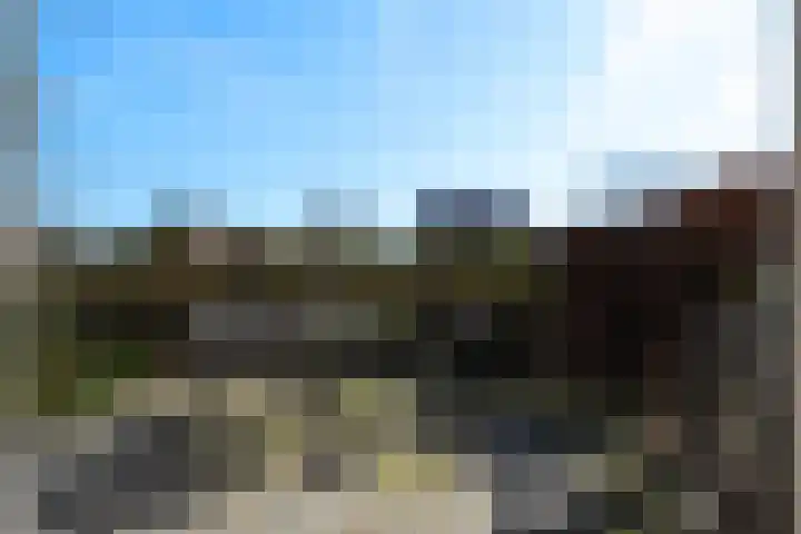 Laamhoef 8 Gemonde thumbnail 21