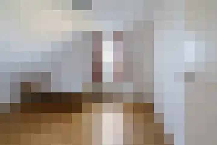 Laamhoef 8 Gemonde thumbnail 37