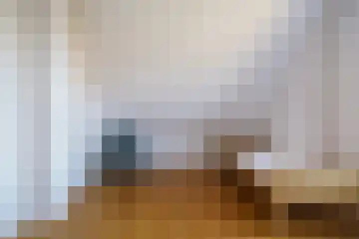 Laamhoef 8 Gemonde thumbnail 38