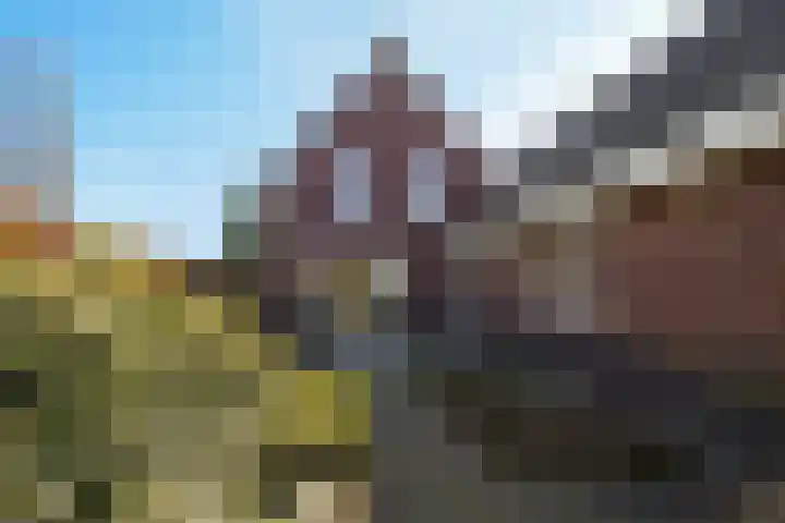Laamhoef 8 Gemonde thumbnail 48