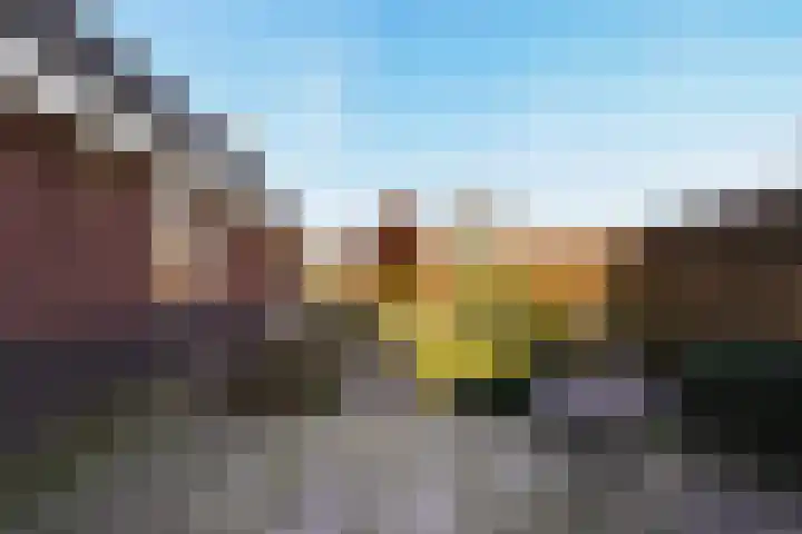Laamhoef 8 Gemonde thumbnail 49