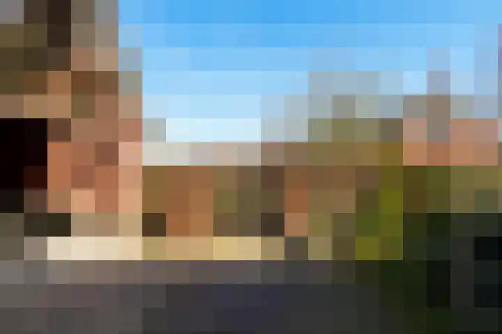 Laamhoef 8 Gemonde thumbnail 52