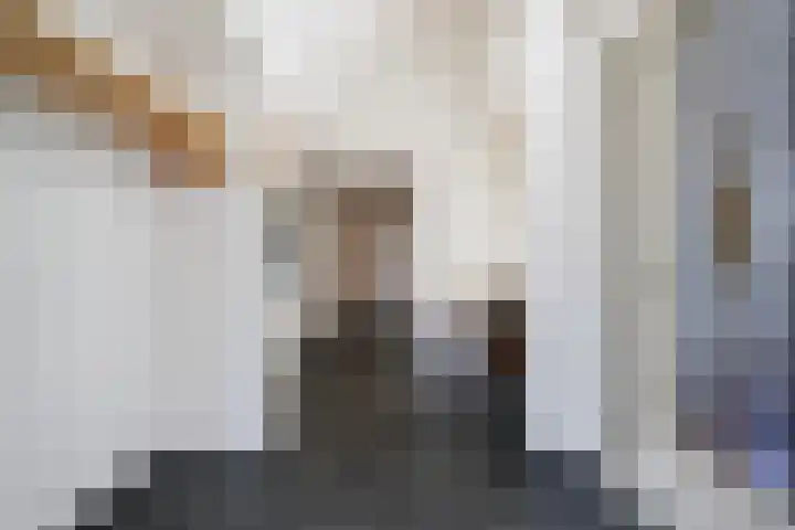 Laamhoef 8 Gemonde thumbnail 6