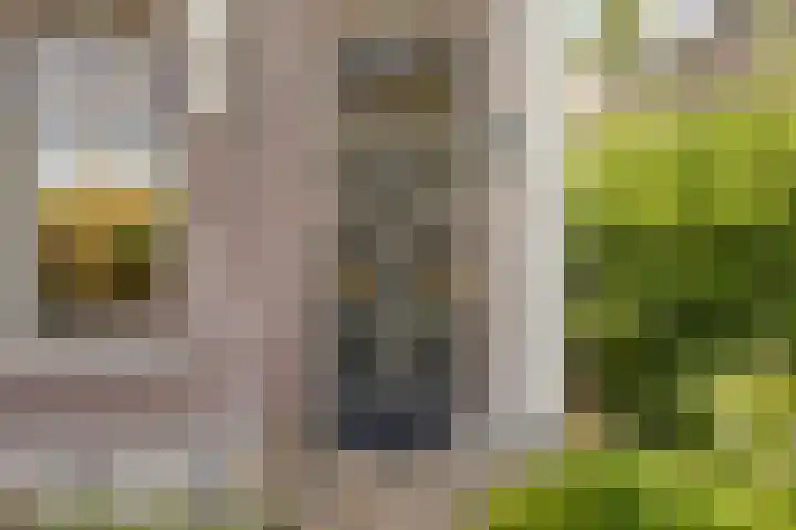 Laan 12 Schagen thumbnail 11