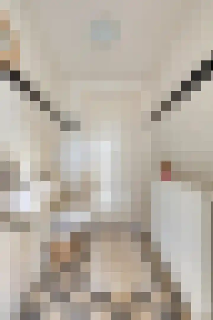 Laan 12 Schagen thumbnail 14
